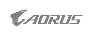 AORUS