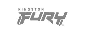 FURY